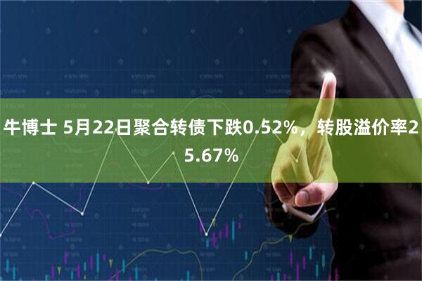 牛博士 5月22日聚合转债下跌0.52%，转股溢价率25.67%